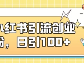 小红书引流创业粉,日引100+【揭秘】