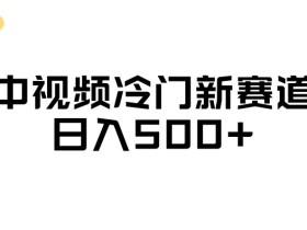 中视频冷门新赛道,做的人少,三天之内必起号,日入500+【揭秘】