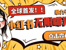全网首发-小红书无限曝光术pro版全领域粉丝精准拿下