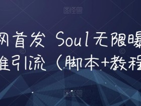 全网首发 Soul无限曝光精准引流(脚本+教程)