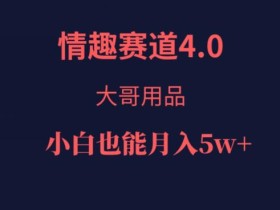 情趣赛道4.0,大哥用品,小白也能月入5w!