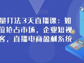 新商业流量打法3天直播课:如何升级定位抢占市场,企业短视频精准获客,直播电商盈利系统