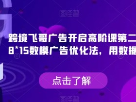 跨境飞哥广告开启高阶课第二十四期,8*15数模广告优化法,用数据驱动决策