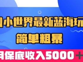 QQ小世界最新蓝海玩法,简单粗暴,月保底收入5000+