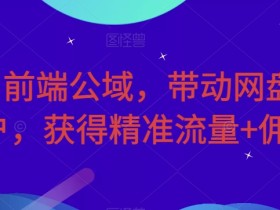 利用前端公域,带动网盘新用户,获得精准流量+佣金(揭秘)