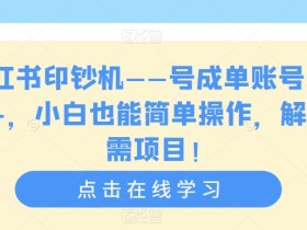 小红书印钞机——号成单账号月入5k+,小白也能简单操作,解决刚需项目【揭秘】