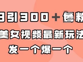 日引300+男粉,美女视频最新玩法,发一个爆一个【揭秘】