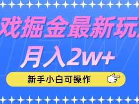 游戏掘金最新玩法月入2w+,新手小白可操作【揭秘】