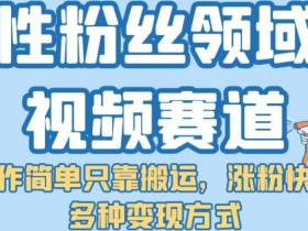 女性粉丝领域短视频赛道,操作简单只靠搬运,涨粉快,多种变现方式【揭秘】