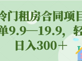 超冷门租房合同项目,一单9.9—19.9,轻松日入300+【揭秘】