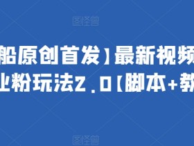 【项目船原创首发】最新视频号引流创业粉玩法2.0【脚本+教程】