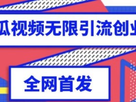独家首发,西瓜视频无限引流任何精准粉脚本【脚本+教程】