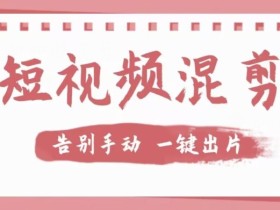 【独家首发】价值几百无敌好用短视频混剪软件,效率翻倍