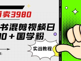 外面卖3980小红书混剪视频日引200+国学粉实战教程【揭秘】