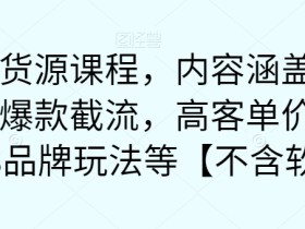 最新无货源课程,内容涵盖了最新的抖音爆款截流,高客单价选品,1688品牌玩法等【不含软件】