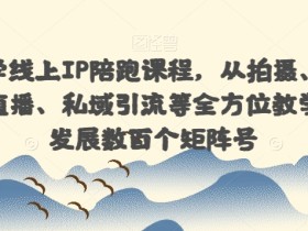 国学玄学线上IP陪跑课程,从拍摄、剪辑、运营、直播、私域引流等全方位教学,快速发展数百个矩阵号