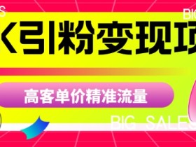 商K引粉变现项目,高客单价精准流量【揭秘】