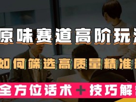 短视频原味赛道高阶玩法,如何筛选高质量精准粉?全方位话术+技巧解答【揭秘】