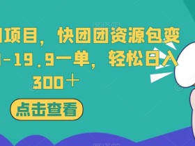 独家冷门项目,快团团资源包变现,9.9-19.9一单,轻松日入300+【揭秘】