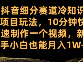 抖音细分赛道冷知识项目玩法,10分钟快速制作一个视频,新手小白也能月入1W+【揭秘】