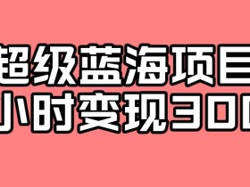 最新超级蓝海项目的玩法,实测一小时变现300+