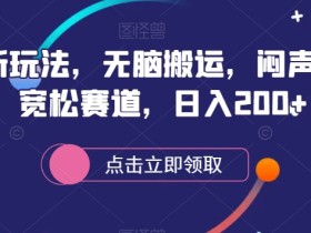 小红书新玩法,无脑搬运,闷声赚大钱,宽松赛道,日入200+