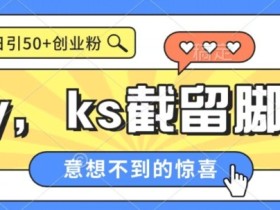 全网首发抖音快手全自动直播间截留创业粉,全行业精准粉技术【脚本+教程】