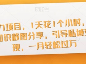 暴力项目,1天花1个小时,玩知识截图分享,引导私域变现,一月轻松过万【截图】