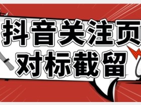 全网首发-抖音关注页对标截留术【揭秘】