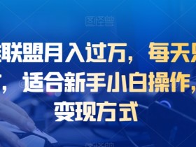 靠英雄联盟月入过万,每天只需花两小时,适合新手小白操作,多种变现方式
