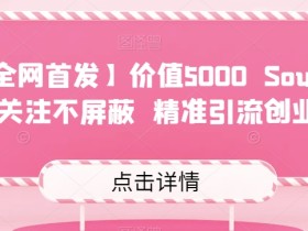 【全网首发】价值5000 Soul无限关注不屏蔽精准引流创业粉