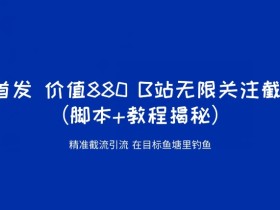 K首发价值880 B站无限关注截流精准引流(脚本+教程揭秘)