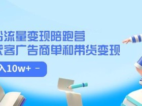 小红书流量·变现陪跑营(第8期):私域获客广告商单和带货变现 月入10w+