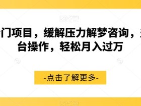 超冷门项目,缓解压力解梦咨询,多平台操作,轻松月入过万【揭秘】