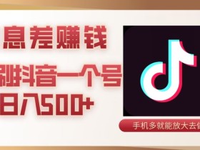 抖音信息差项目,有抖音就能零撸,看看视频、点点赞就能日入破百