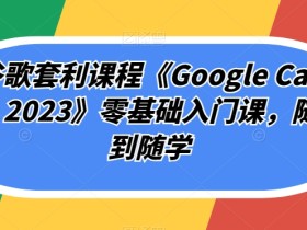 谷歌套利课程《Google Cash 2023》零基础入门课,随到随学