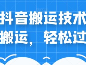 外卖598元的最新抖音搬运技术,中视频搬运,轻松过原创