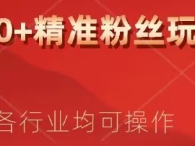 日进200+精准粉丝详细拆解教程,各行业通用小白即可上手