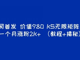 K全网首发价值980 快手无限矩阵引流一个月涨粉2K+(教程+揭秘)