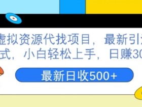 虚拟资源代找项目,最新引流模式,小白轻松上手,日赚300+
