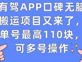 有驾APP口碑无脑搬运项目又来了,单号最高110块,可多号操作