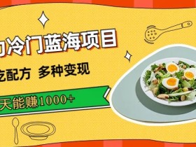暴力冷门蓝海项目,小吃配方,多种变现,一天能赚1000+