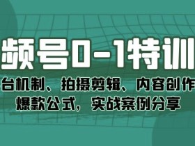 视频号0-1特训营:平台机制、拍摄剪辑、内容创作、爆款公式,实战案例分享