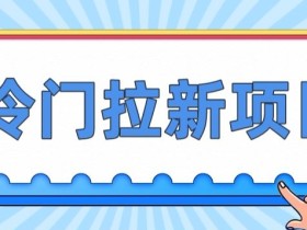 冷门拉新项目,一单4块,操作简单流量大,变现快