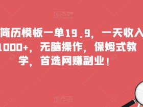 靠简历模板一单19.9,一天收入1000+,无脑操作,保姆式教学,首选网赚副业!