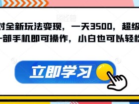蛋仔派对全新玩法变现,一天3500,超级偏门玩法,一部手机即可操作,小白也可以轻松上手,保姆教程+资料