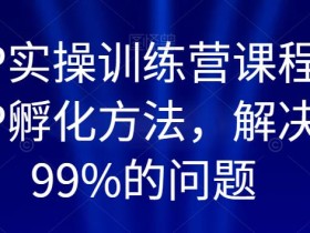 百万IP实操训练营课程,完整的IP孵化方法,解决做号99%的问题