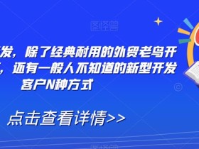 外贸精准开发,除了经典耐用的外贸老鸟开发客户技巧,还有一般人不知道的新型开发客户N种方式