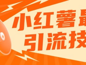 小红书最新引流技术,真正实现解放双手暴力引流