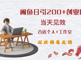 闲鱼精准引流创业粉,日引200+,当天见效,从此横着走